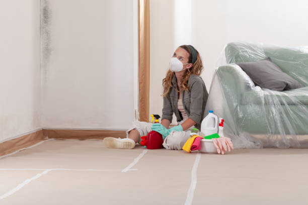 Reliable Mold Remediation contractor in Princeton, KY by WQB Mold Removal